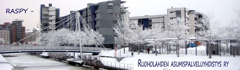 Ruoholahti talvella